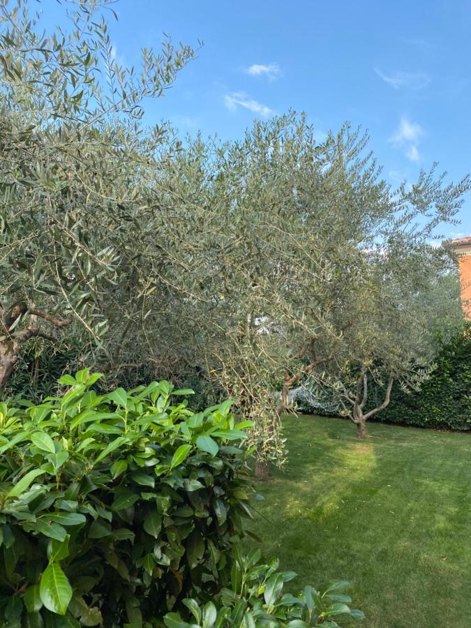 Villa Eva Karigador Novigrad Istria Exterior foto
